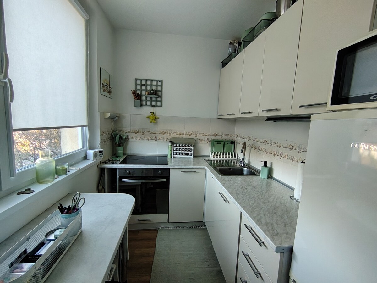1-izb. byt, ul. Donnerová, Karlova Ves s výhľadom do zelene — foto 3