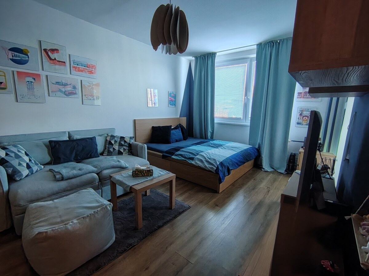 1-izb. byt, ul. Donnerová, Karlova Ves s výhľadom do zelene — foto 4
