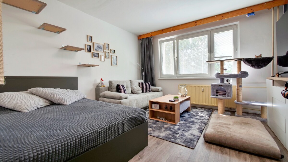 REZERVOVANÉ - Dvojizbový byt s plochou 51 m² — foto 2