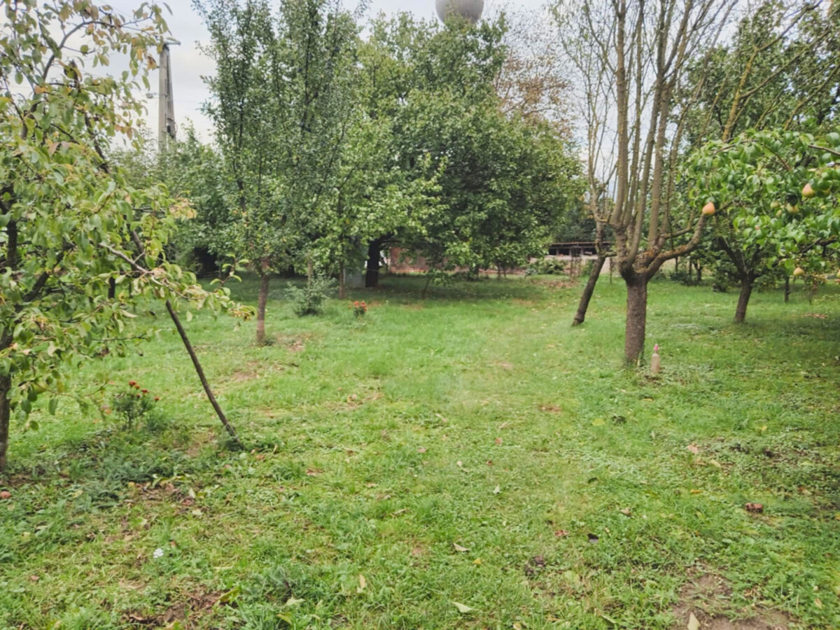 Záhrada, 800 m2, Göncruszka