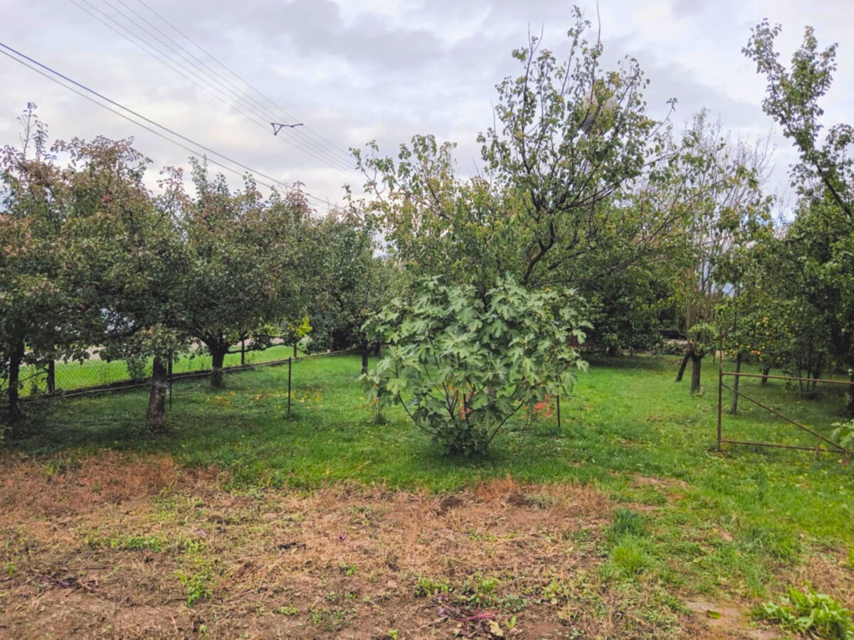 Záhrada, 800 m2, Göncruszka — foto 3