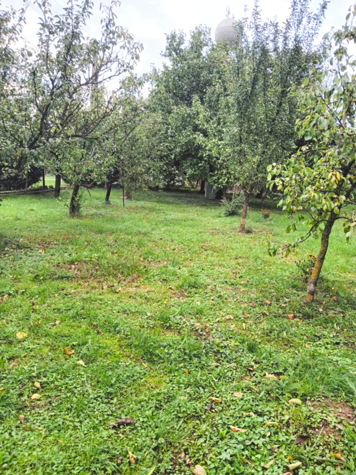 Záhrada, 800 m2, Göncruszka — foto 4