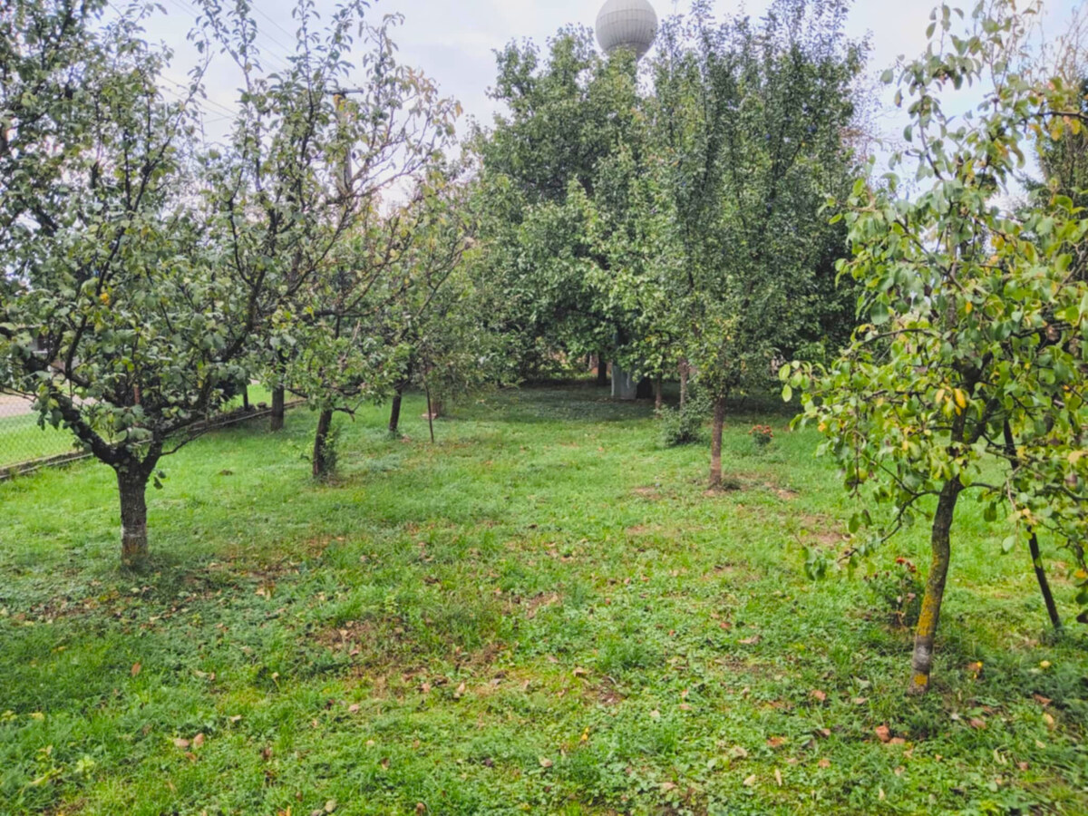 Záhrada, 800 m2, Göncruszka — foto 7