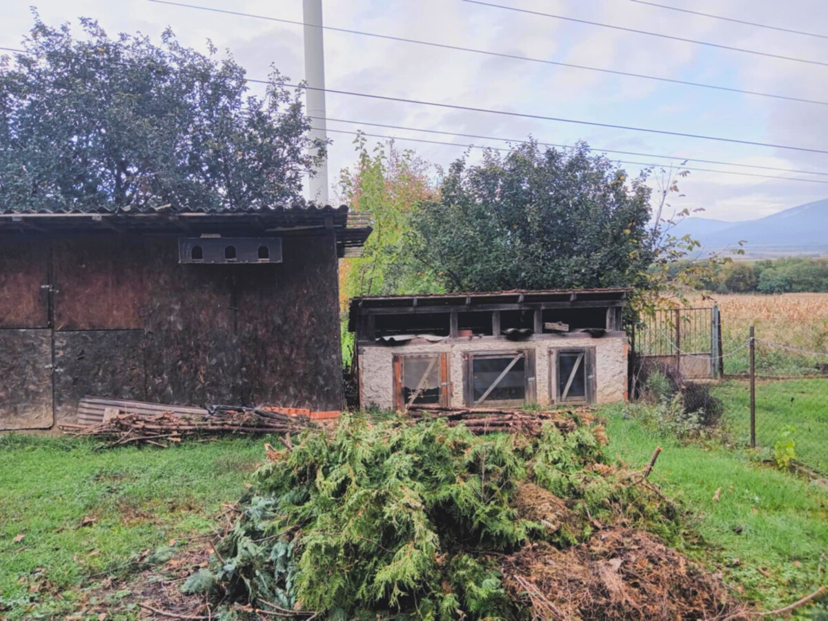 Záhrada, 800 m2, Göncruszka — foto 8