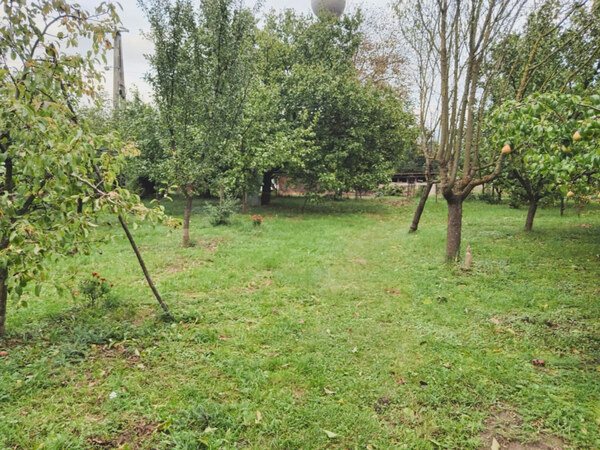 Záhrada, 800 m2, Göncruszka