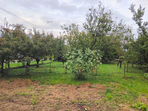Záhrada, 800 m2, Göncruszka — foto 3