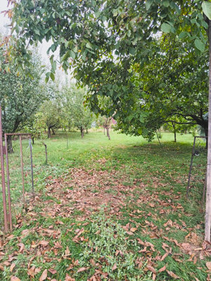 Záhrada, 800 m2, Göncruszka — foto 5