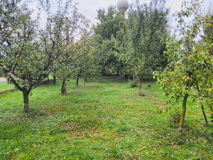 Záhrada, 800 m2, Göncruszka — foto 7