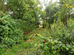 Akciová ponuka: dom-chalupa, Göncruszka — foto 3