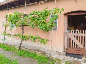 Akciová ponuka: dom-chalupa, Göncruszka — foto 5