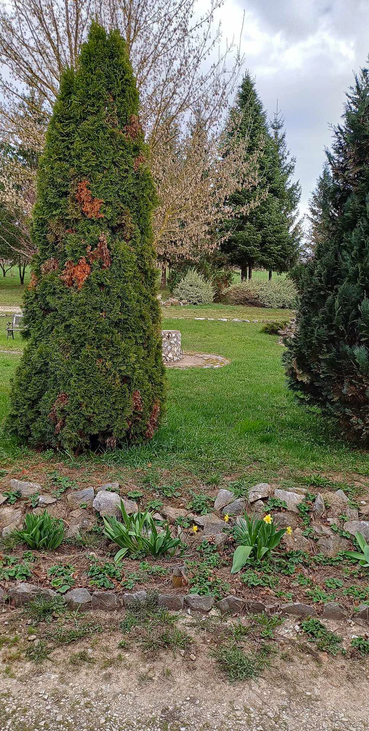 Luxusný rodinný dom v obci Lak, Maďarsko — foto 13
