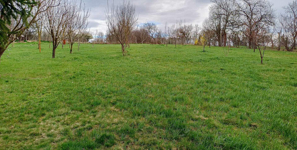 Luxusný rodinný dom v obci Lak, Maďarsko — foto 16