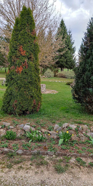 Luxusný rodinný dom v obci Lak, Maďarsko — foto 13