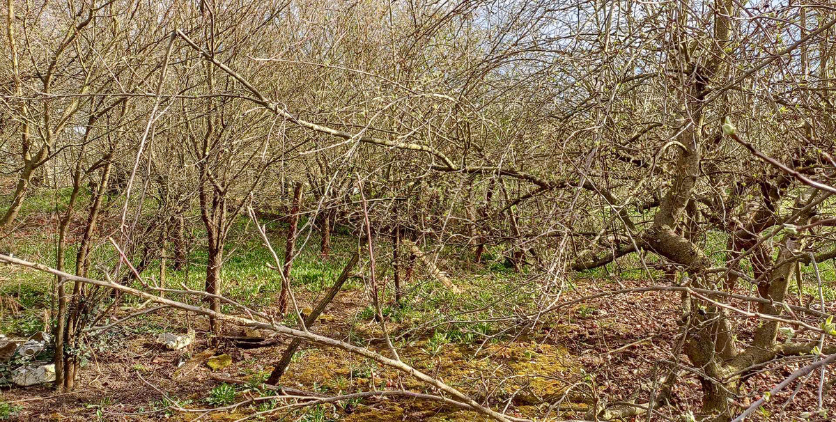 Rodinný domček v nádhernom prostredí, Hegymeg — foto 5