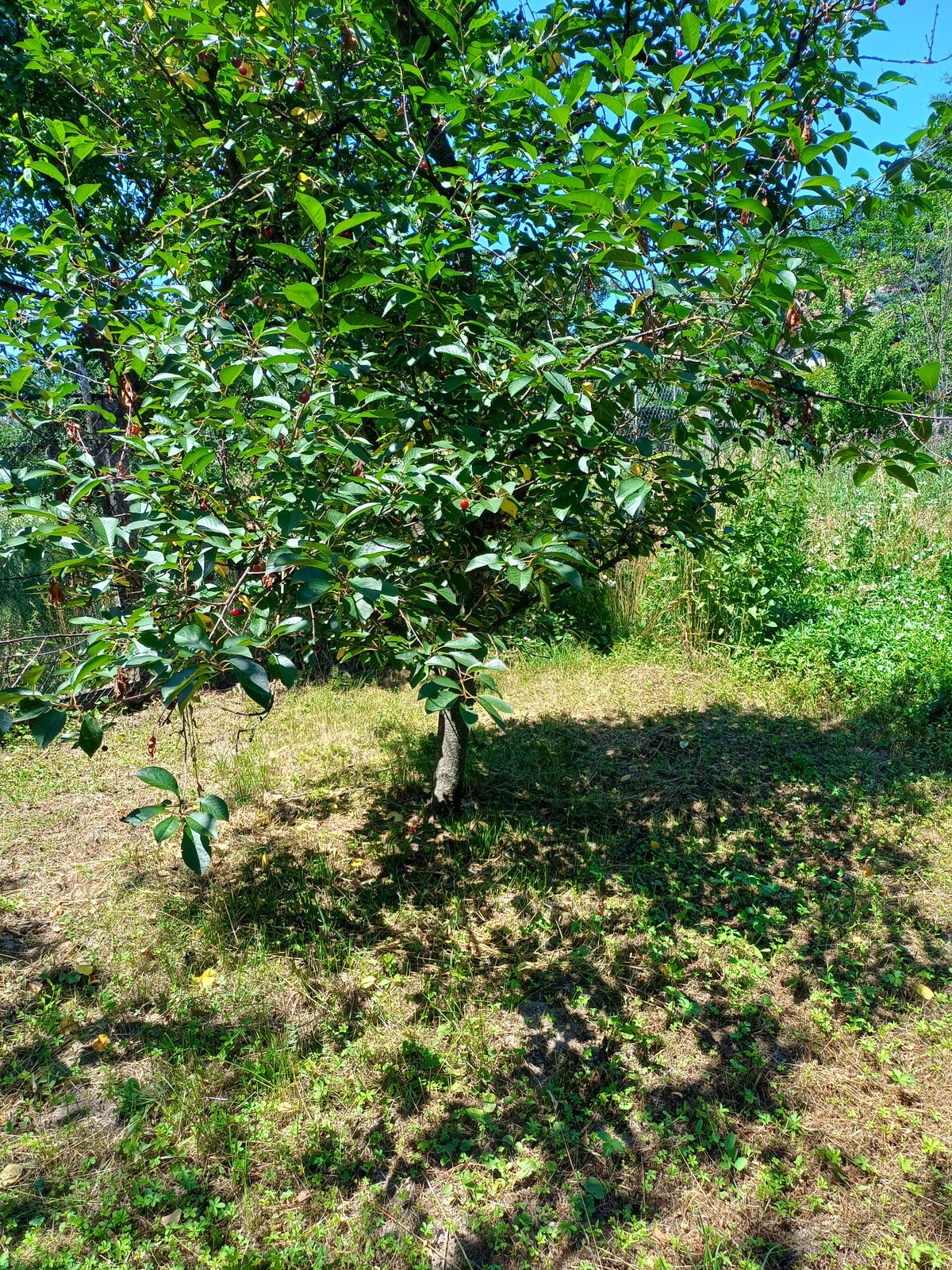 Rodinný dom - Gönc, 30 km od Košíc — foto 15