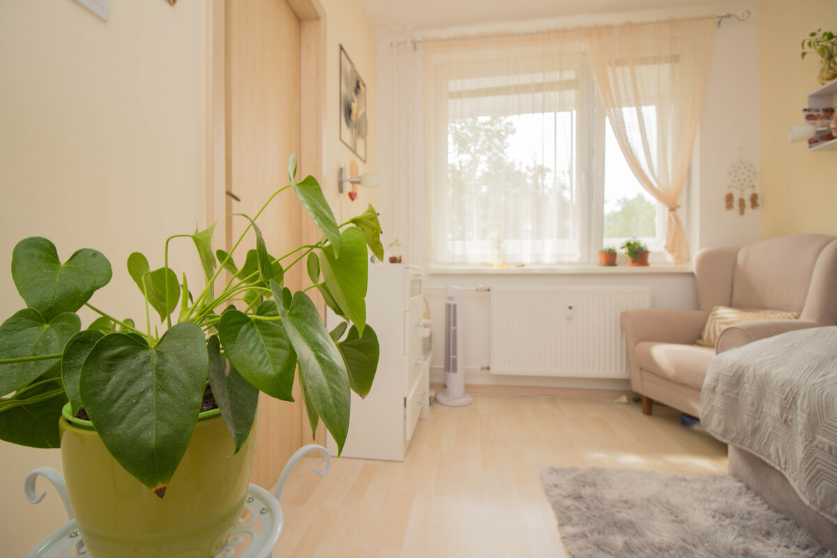 Top lokalita pri Auparku, 2-izb.byt s loggiou — foto 8