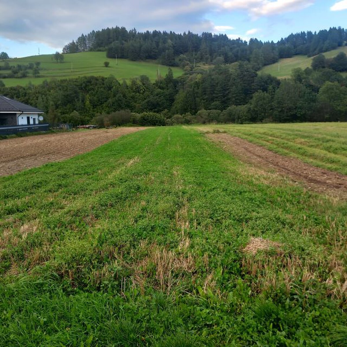 Predáme stavebný pozemok 2387 m2 vo Veľkej Frankovej