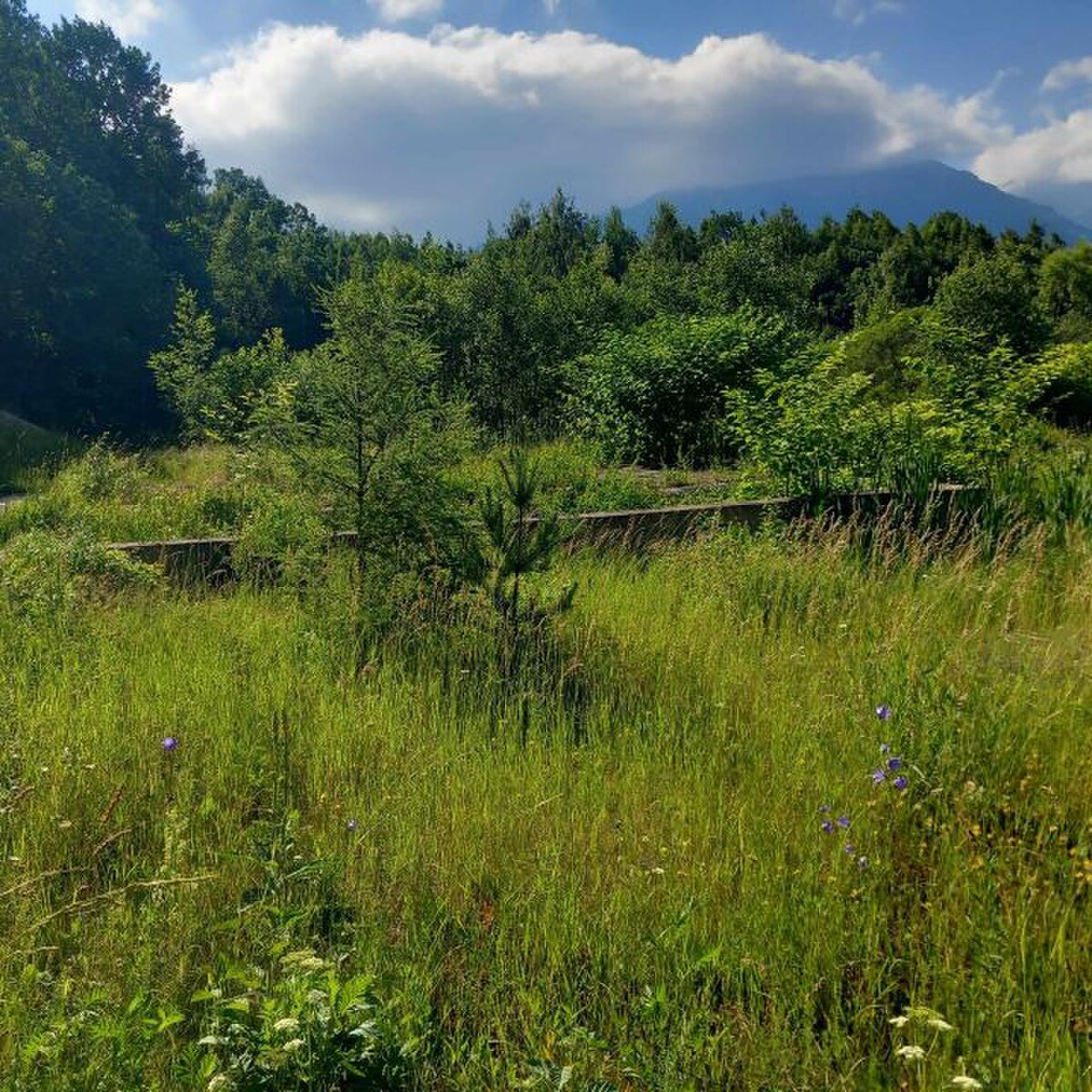 Slnečný stavebný pozemok 1515 m2 v Novej Lesnej — foto 4
