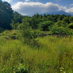 Slnečný stavebný pozemok 1515 m2 v Novej Lesnej — foto 4