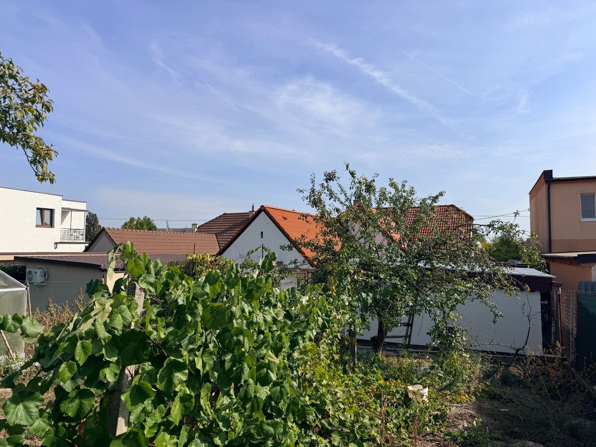 Exkluzívna ponuka na predaj, rodinný dom " Brestovany"  Horné Lovčice — foto 17