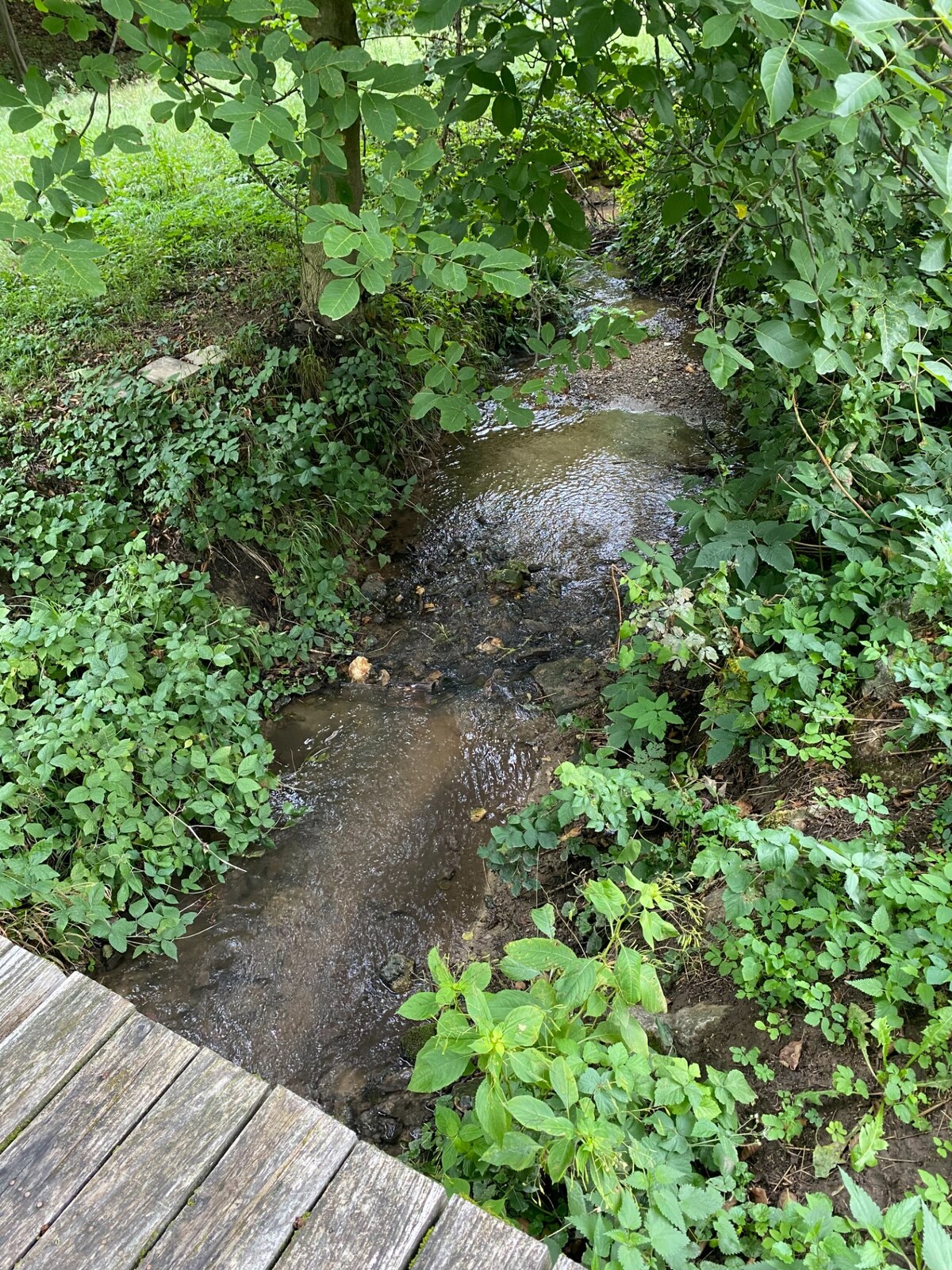 Predaj rekreačnej chaty s pozemkom v lokalite  Buková — foto 7