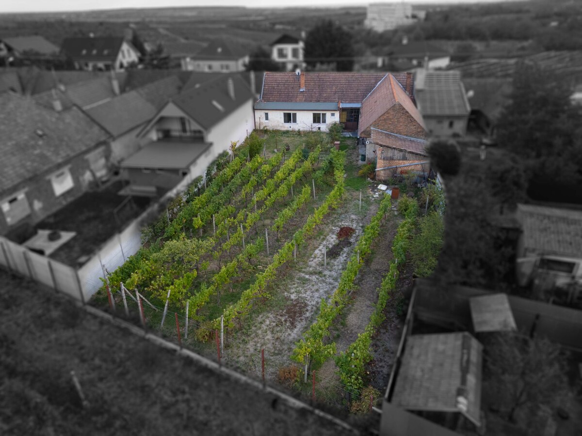 PREDAJ 4IZB. RD S PRIESTRANNÝM POZEMKOM  V MODRE KRÁĹOVEJ — foto 6