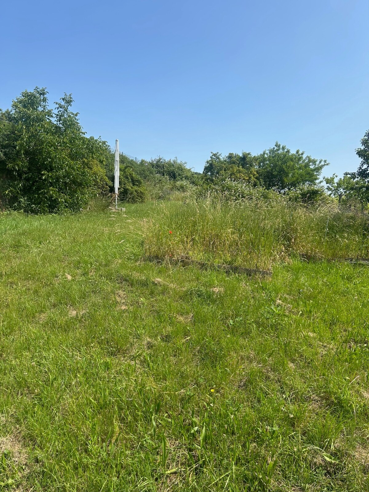 ATRAKTÍVNÝ SP VO SVATOM JURE 1088 m2 — foto 5