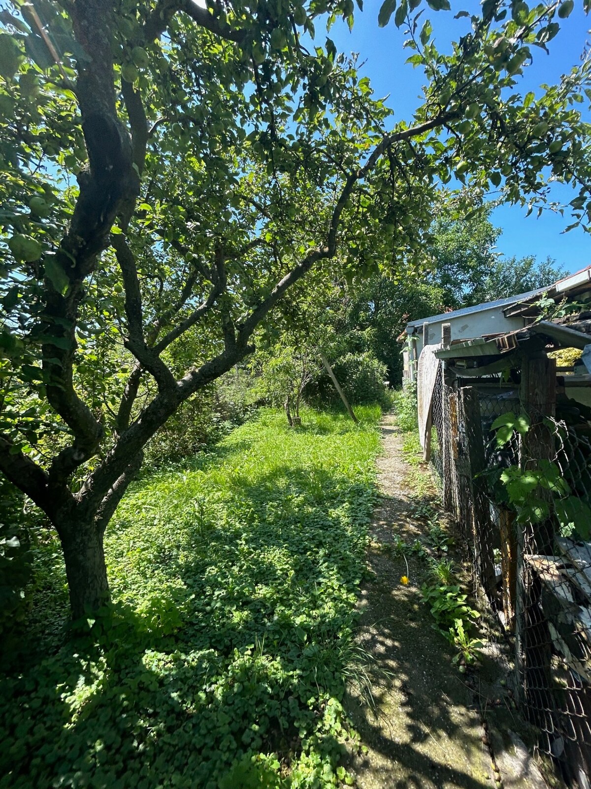 Na predaj starší rodinný dom v obci Budmerice 541m2 — foto 3