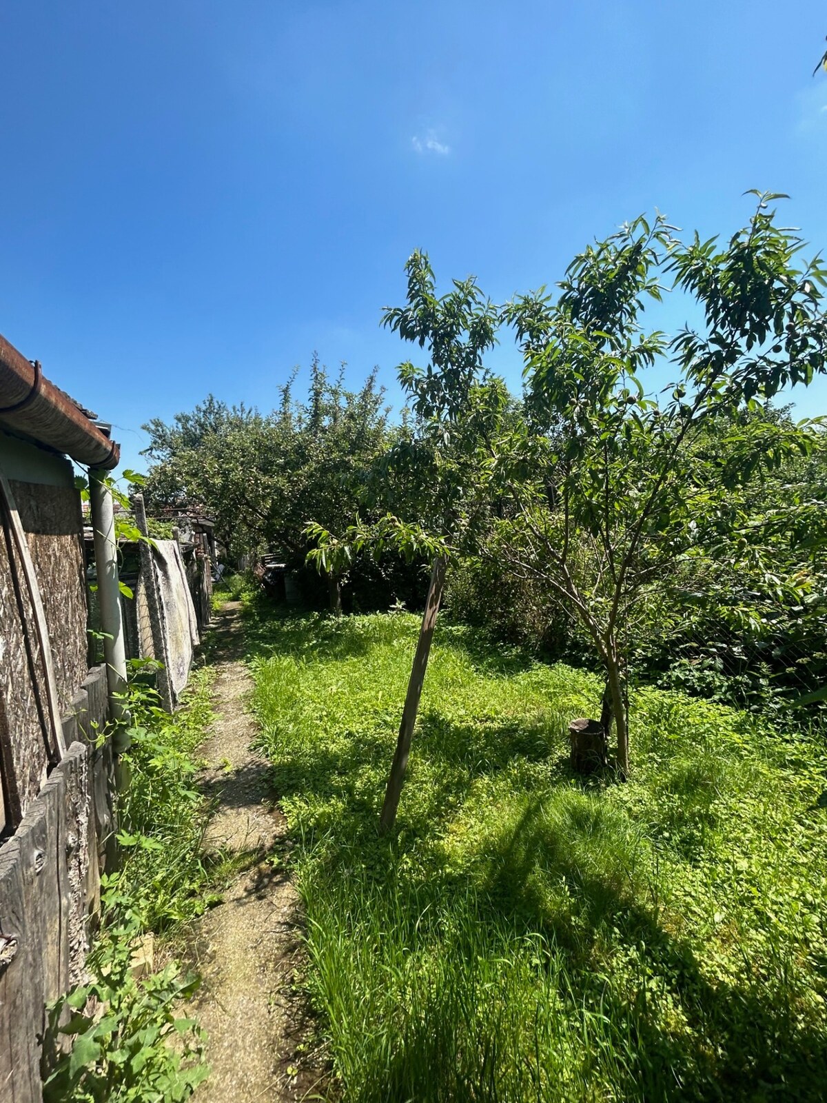 Na predaj starší rodinný dom v obci Budmerice 541m2 — foto 4