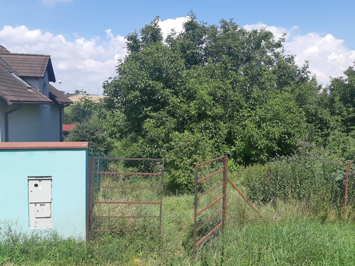 PREDAJ INVESTIČNÉHO POZEMKU V ŠENKVICIACH NA VÝSTAVBU RD - 2197 m2 — foto 5