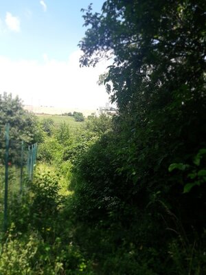PREDAJ INVESTIČNÉHO POZEMKU V ŠENKVICIACH NA VÝSTAVBU RD - 2197 m2 — foto 6