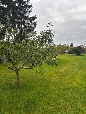 Veľký STAVEBNÝ POZEMOK v centre PEZINKA so zrekonštruovaným domom — foto 1