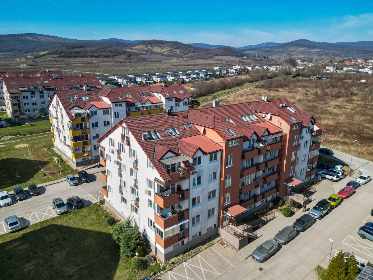 3 IZBOVÝ BYT V SRDCI PEZINSKÝCH VINÍC - Dona Sandtnera