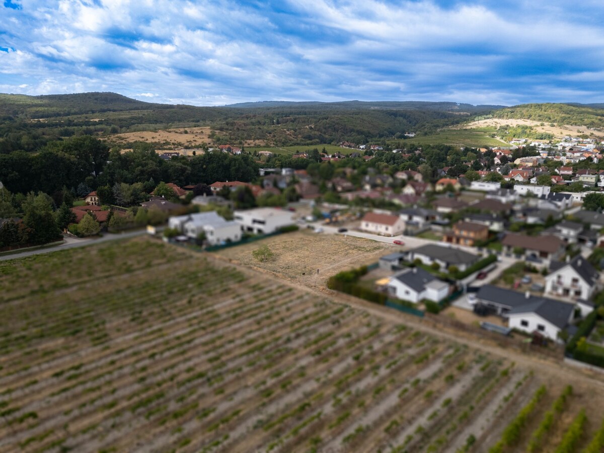 PREDAJ VEĽKORYSÉHO SP V LIMBACHU - 1541 m2 — foto 5