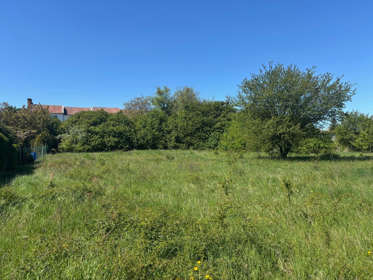 LUKRATÍVNY SP V BUDMERICIACH NA VÝSTAVBU RD ALEBO  BYT.DOMOV - 4459 m2 — foto 3