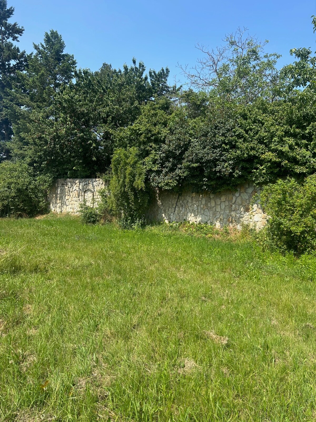ATRAKTÍVNÝ SP VO SVATOM JURE 1088 m2 — foto 8