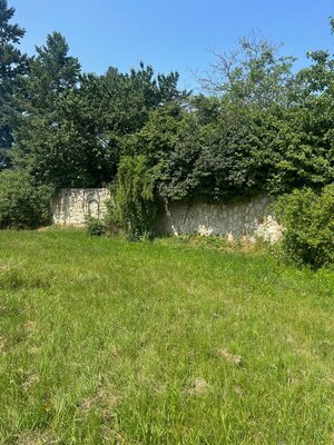 ATRAKTÍVNÝ SP VO SVATOM JURE 1088 m2 — foto 8