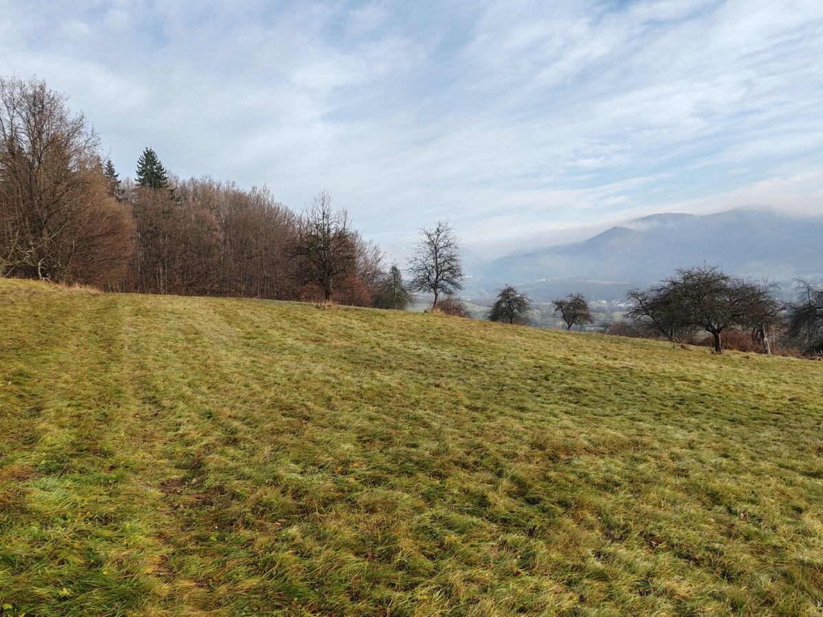 Predáme rekreačný pozemok, 4.640 m2, Nová Baňa, okr. Žarnovica — foto 2