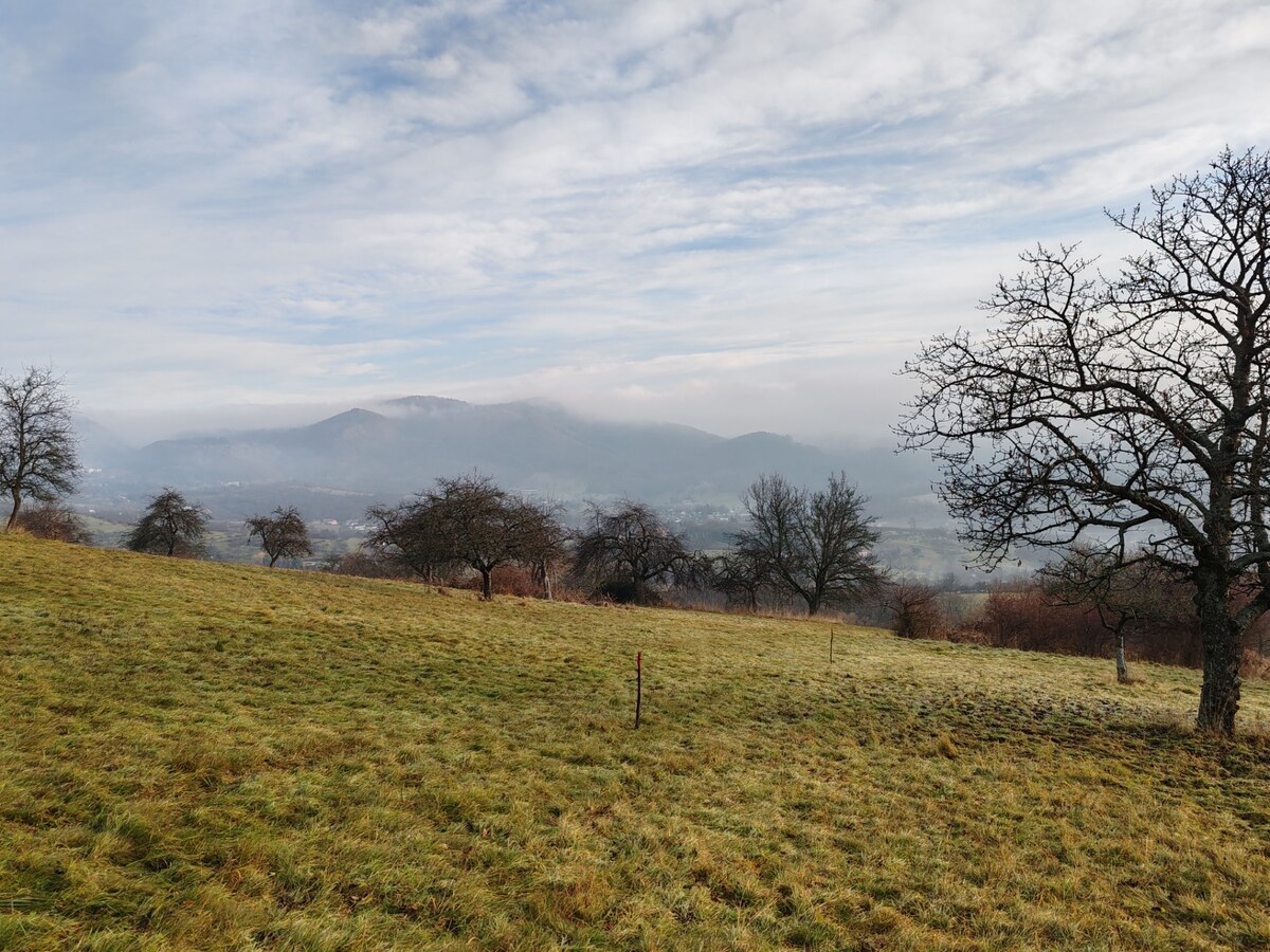 Predáme rekreačný pozemok, 4.640 m2, Nová Baňa, okr. Žarnovica — foto 3