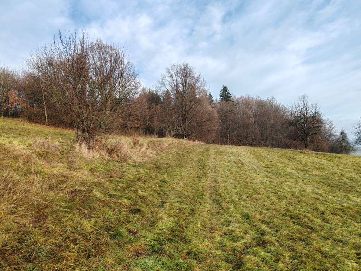 Predáme rekreačný pozemok, 4.640 m2, Nová Baňa, okr. Žarnovica — foto 4