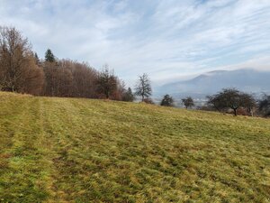 Predáme rekreačný pozemok, 4.640 m2, Nová Baňa, okr. Žarnovica — foto 2