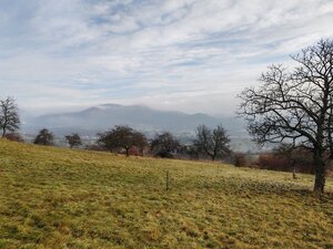Predáme rekreačný pozemok, 4.640 m2, Nová Baňa, okr. Žarnovica — foto 3
