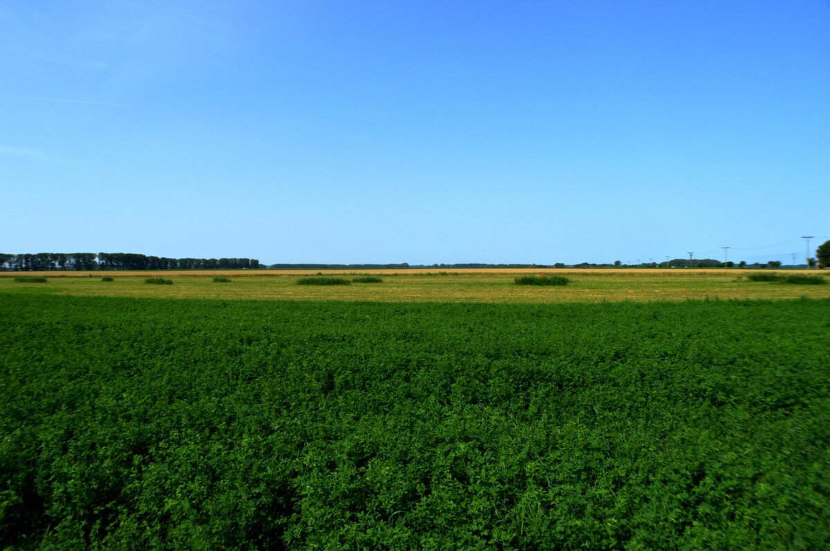 Stavebný pozemok + prípojky, 600m2 (20x30 m), Kráľov Brod (GA) — foto 2