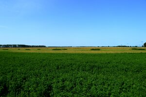 Stavebný pozemok + prípojky, 600m2 (20x30 m), Kráľov Brod (GA) — foto 2