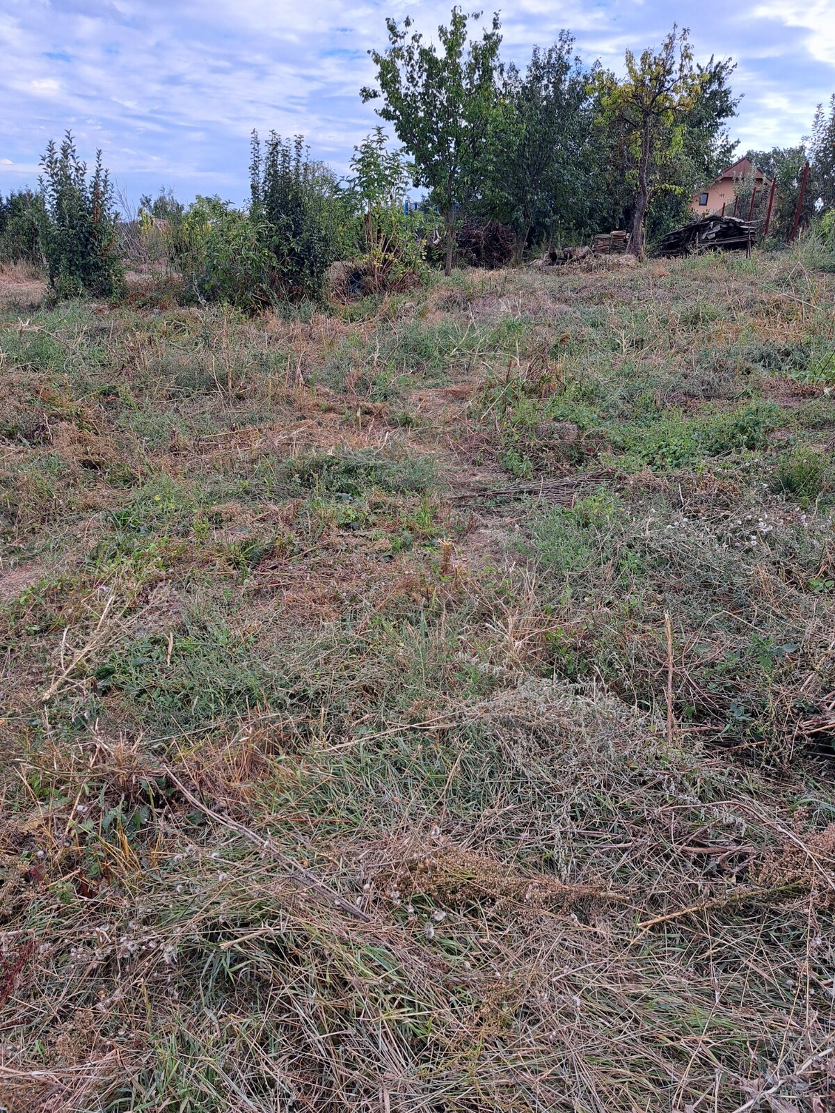 Ponúkame na predaj stavebný pozemok, 680 m2, Nové Sady-Sila, okr.Nitra — foto 7
