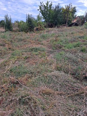 Ponúkame na predaj stavebný pozemok, 680 m2, Nové Sady-Sila, okr.Nitra — foto 7