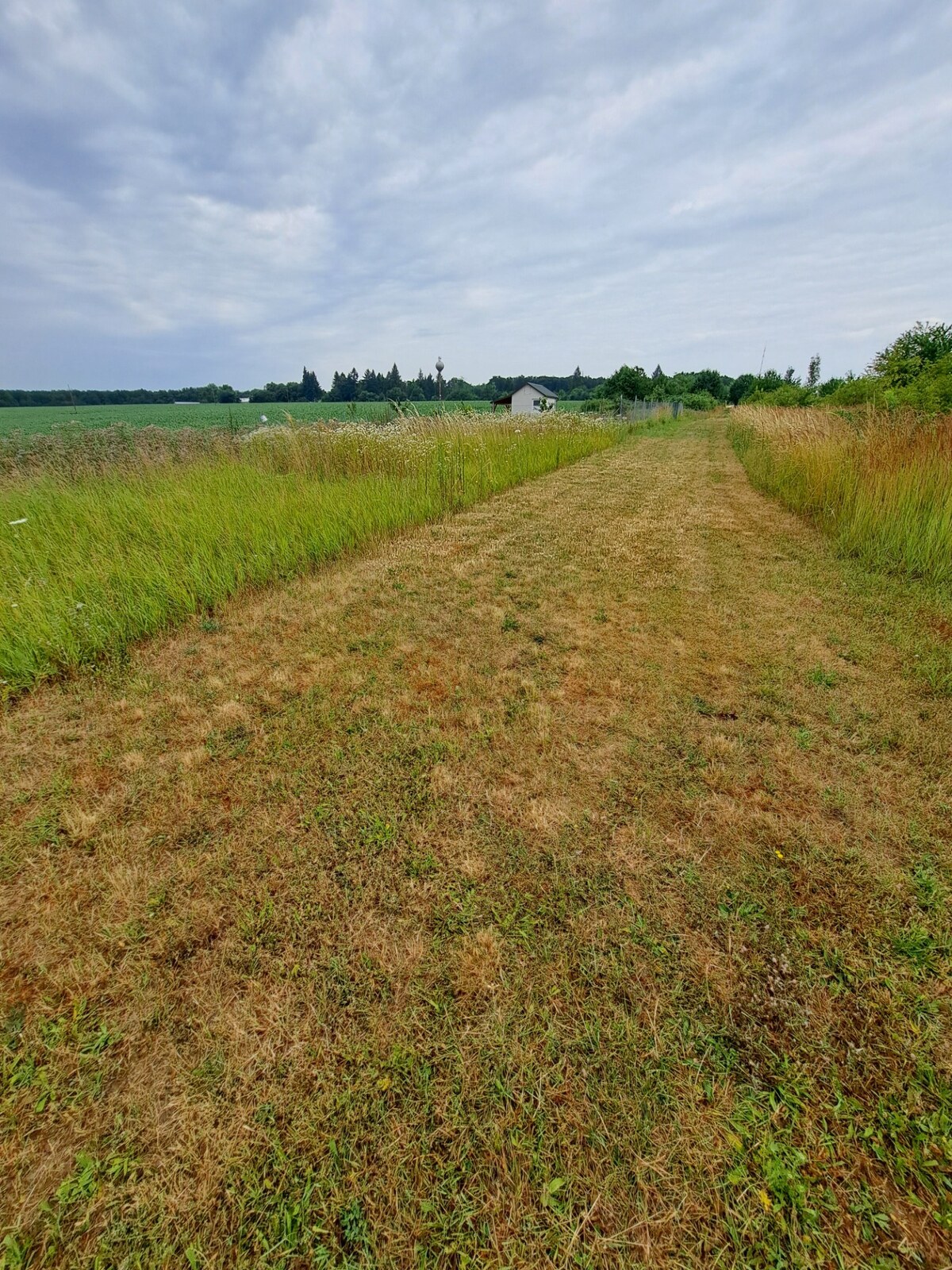Predáme investičný pozemok, 633 m2, Nitra - Párovské Háje — foto 4