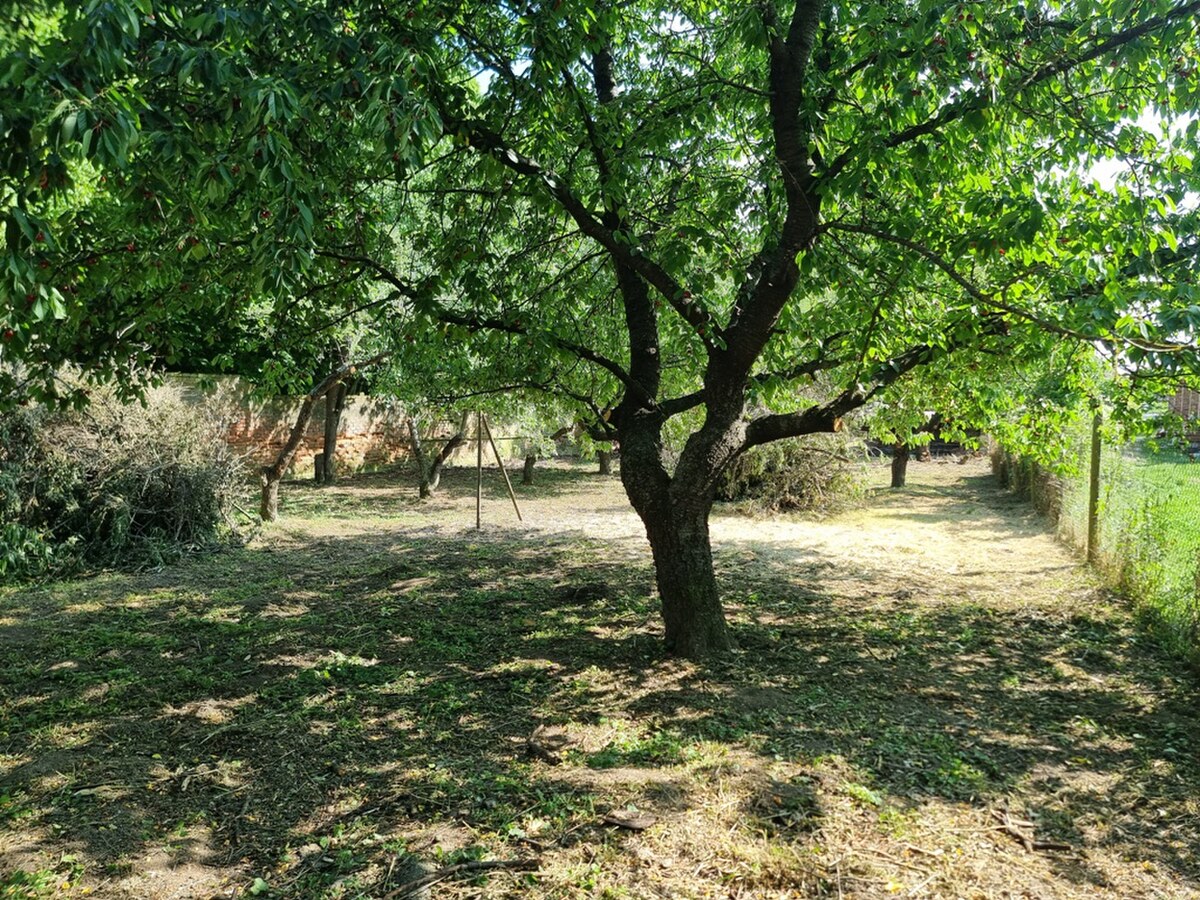 Predáme vidiecky rodinný dom v obci Nová Ves nad Žitavou — foto 11
