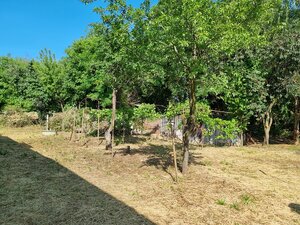 Predáme vidiecky rodinný dom v obci Nová Ves nad Žitavou — foto 9