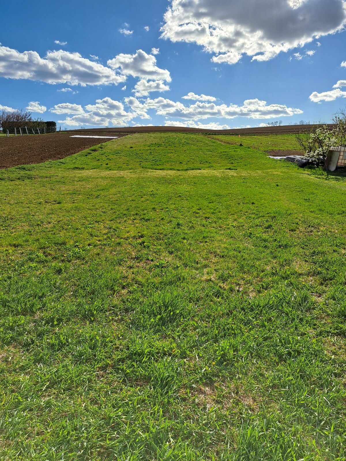 Predáme stavebný pozemok, 1101 m2, Nové Sady, časť Sila